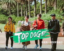花季传媒《TOP DOG》免费在线观看