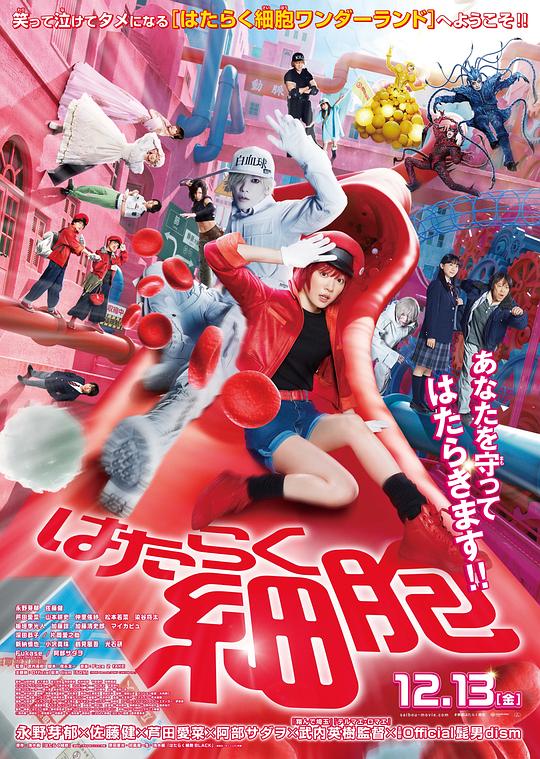 芭乐视频《工作细胞 真人版 はたらく細胞》免费在线观看