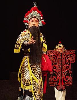 花椒直播《袁崇焕2009》免费在线观看