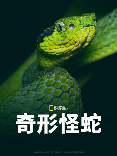 花椒直播《奇形怪蛇》免费在线观看