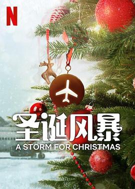 芭乐视频《圣诞风暴》免费在线观看